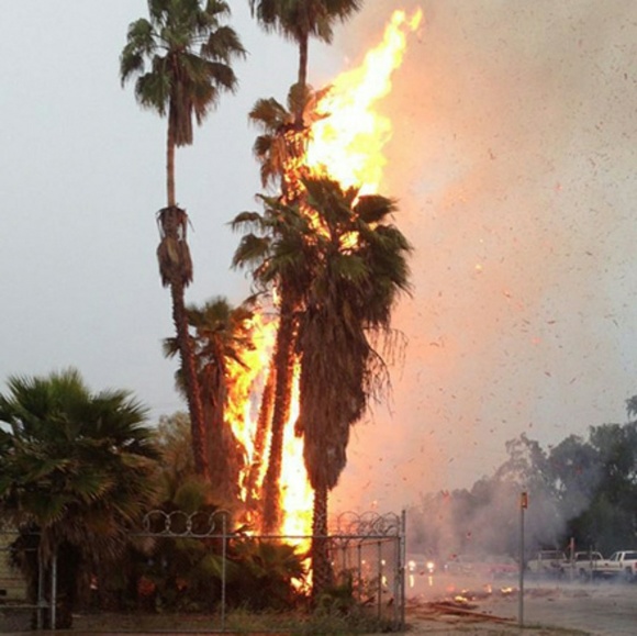 Meet your Posher, Rodolfo - Picture 1 of 1